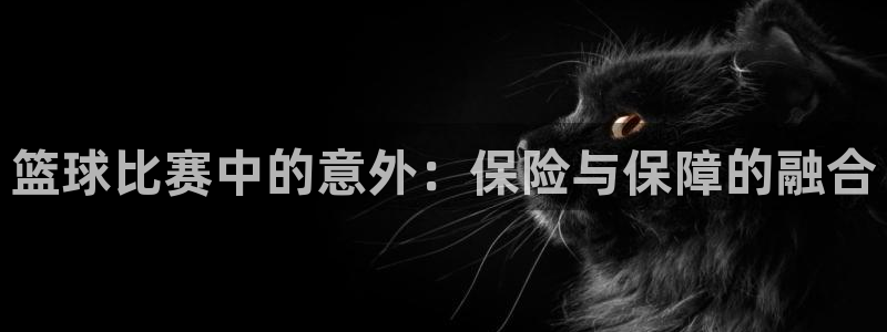 篮球比赛中的意外：保险与保障的融合