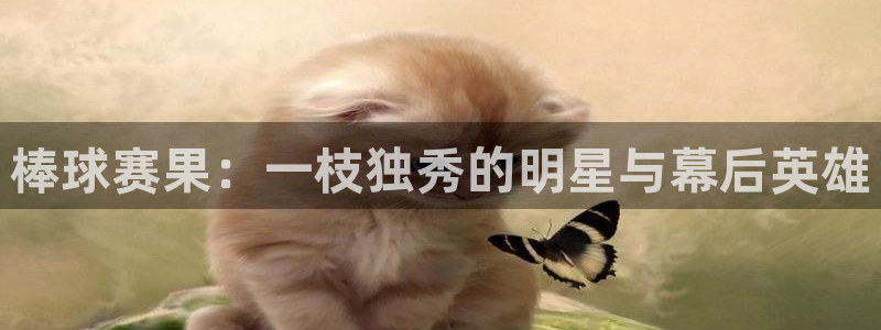 hb火博：棒球赛果：一枝独秀的明星与幕后英雄